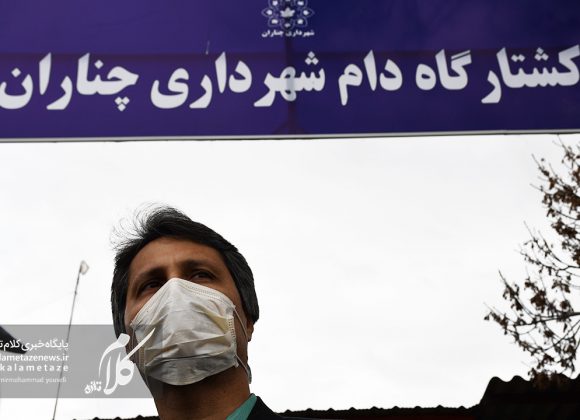 بازدید فرماندار چناران از کشتارگاه چناران