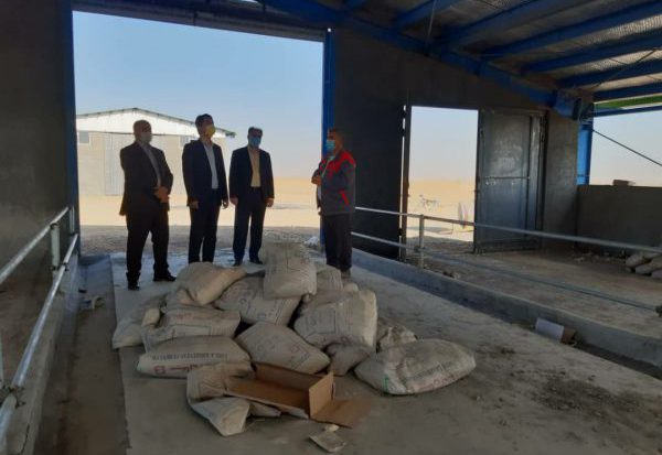 بازدید از دامداری ۵۰هزار راسی گوسفند در روستای سیدآباد