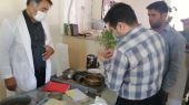 آغاز فعالیت مراکز خرید تضمینی گندم در شهرستان چناران