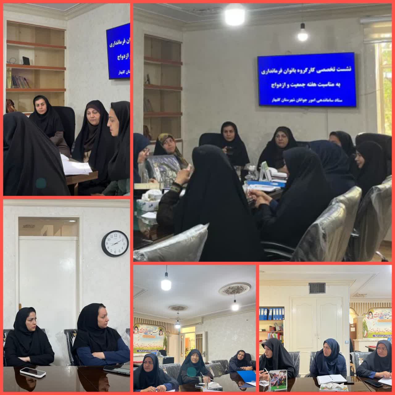 بررسی راهکارهای تقویت نهاد خانواده در نشست کارگروه بانوان گلبهار
