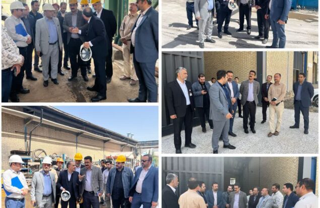بازدید مسئولین چناران از یک طرح صنعتی و یک واحد تولیدی برای رفع موانع تولید