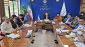 مشکلات ترافیکی چناران در جلسه شورای ترافیک بررسی شد