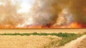 هشدار فرماندار گلبهار درباره خطر آتشسوزی در مزارع و مراتع