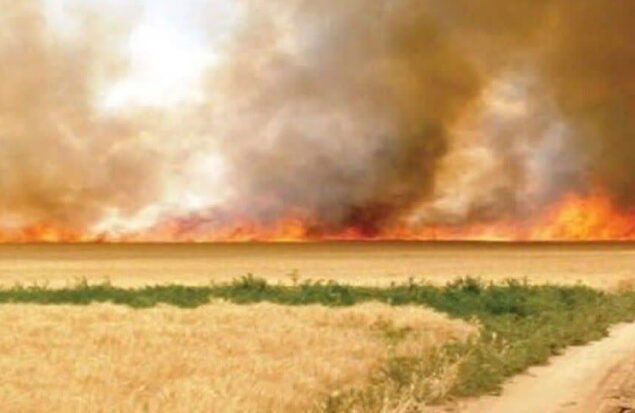 هشدار فرماندار گلبهار درباره خطر آتش‌سوزی در مزارع و مراتع