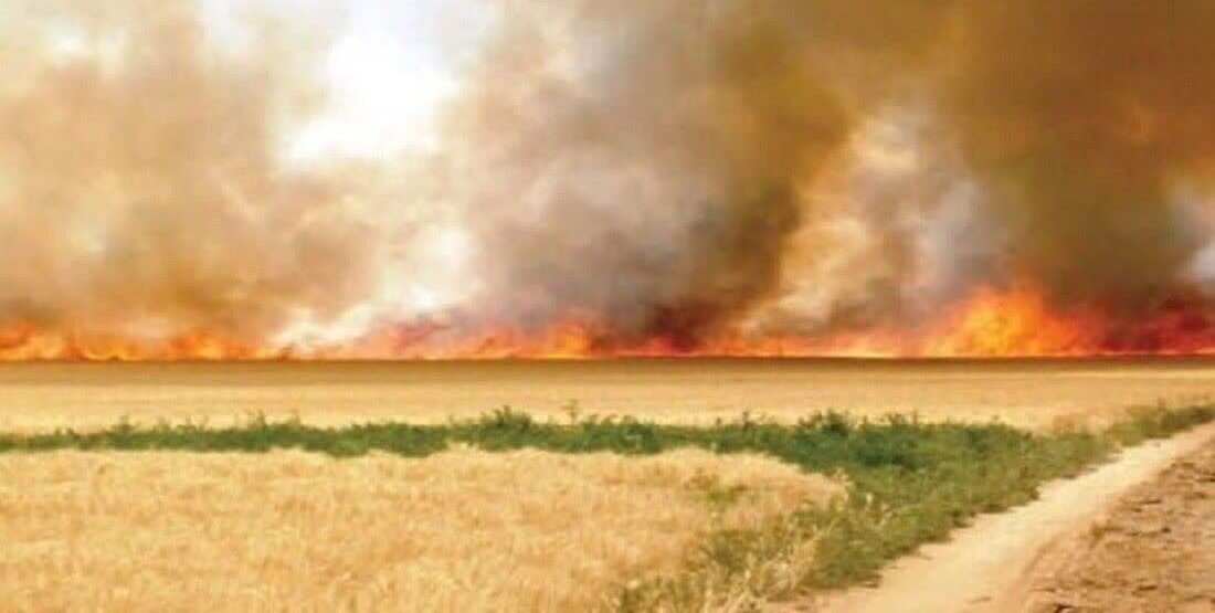 هشدار فرماندار گلبهار درباره خطر آتشسوزی در مزارع و مراتع