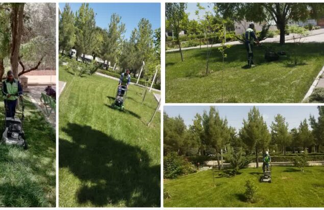 چمن‌زنی ۱۲۶ هزار مترمربع از فضای سبز شهری در گلبهار