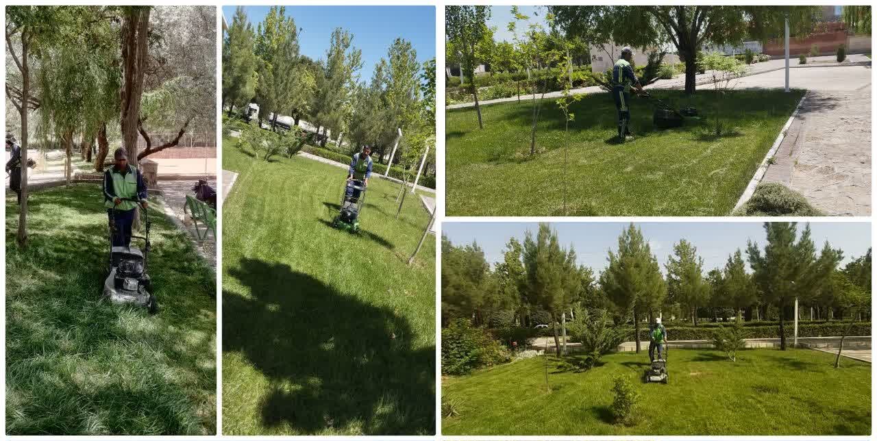 چمنزنی ۱۲۶ هزار مترمربع از فضای سبز شهری در گلبهار