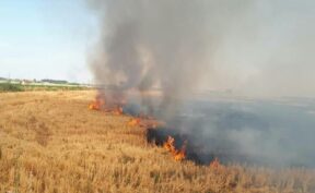 آتش‌سوزی در مراتع روستای فریزی ۲۰ هکتار از منابع طبیعی را نابود کرد