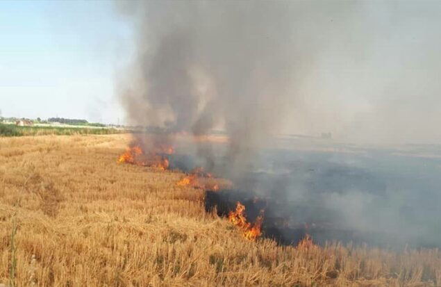 آتش‌سوزی در مراتع روستای فریزی ۲۰ هکتار از منابع طبیعی را نابود کرد