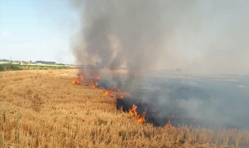 آتش‌سوزی در مراتع روستای فریزی ۲۰ هکتار از منابع طبیعی را نابود کرد