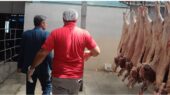 بازدید سرپرست شهرداری چناران از کشتارگاه صنعتی