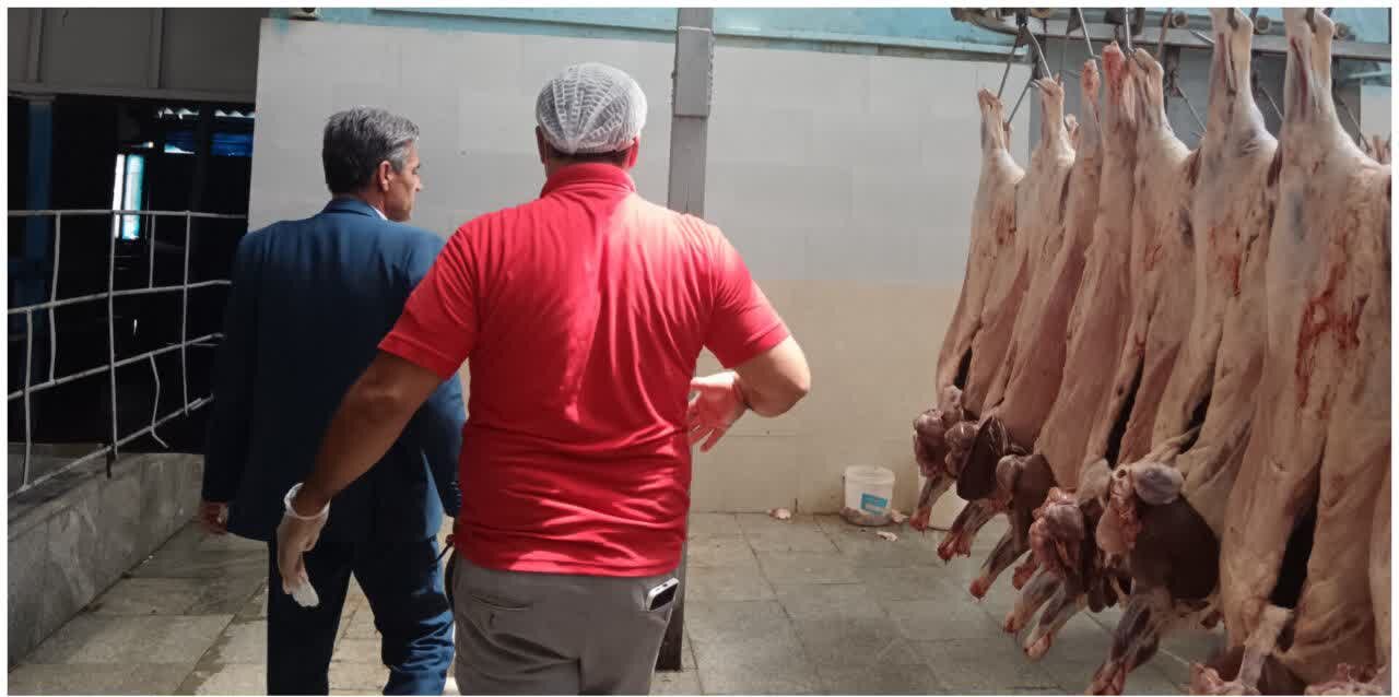 بازدید سرپرست شهرداری چناران از کشتارگاه صنعتی