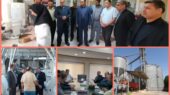 بازدید فرماندار گلبهار از مراکز کلیدی ذخیره و فرآوری گندم