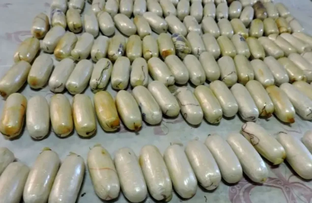 متهم به بلع ۸۹۴ گرم هروئین در بردسکن خراسان رضوی دستگیر شد