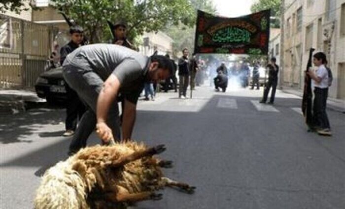 دامپزشکی نسبت به قربانی دام در معابر عمومی خراسان رضوی هشدار داد
