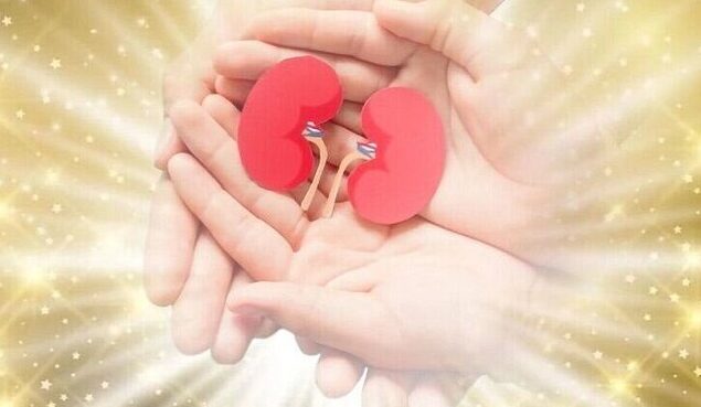 نوجوان مرگ مغزی در مشهد به زندگی پنج نفر حیاتی دوباره بخشید