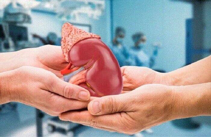 نجات ۷ زندگی با اهدای عضو از بانوی مرگ مغزی در مشهد