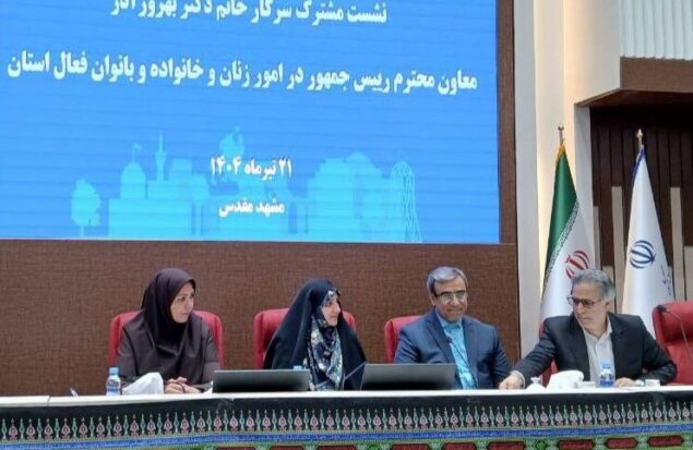 معاونت زنان ضامن زنان فعال در مشاغل خانگی برای دریافت تسهیلات می‌شود