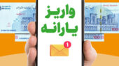 جزئیات حذف یارانه سه میلیون نفر/حذف یارانه پردرآمدها تکلیف مجلس و برنامه هفتم است