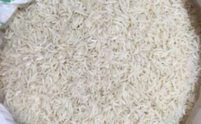 سیاست‌های جدید وزارت جهاد کشاورزی بازار برنج را متعادل می‌کند