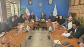 چناران دومین شهرستان خراسان رضوی در اقدام به خودکشی با رشد ۱۰ درصدی