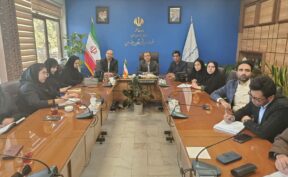 چناران دومین شهرستان خراسان رضوی در اقدام به خودکشی با رشد ۱۰ درصدی