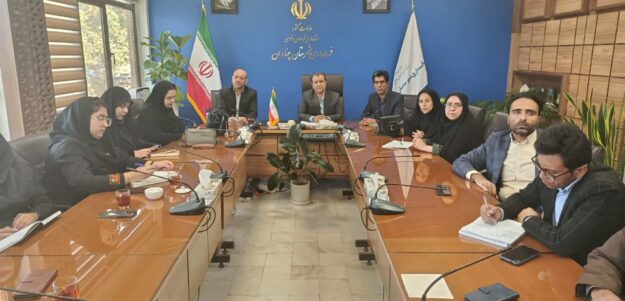 چناران دومین شهرستان خراسان رضوی در اقدام به خودکشی با رشد ۱۰ درصدی