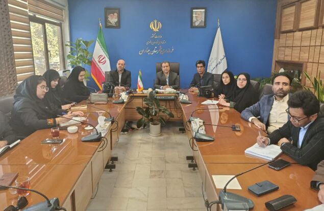 چناران دومین شهرستان خراسان رضوی در اقدام به خودکشی با رشد ۱۰ درصدی