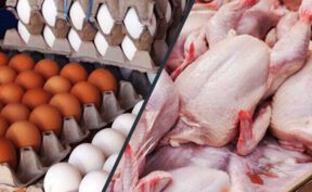 توزیع تخممرغ، گوشت وارداتی و برنج با قیمت مصوب در مشهد