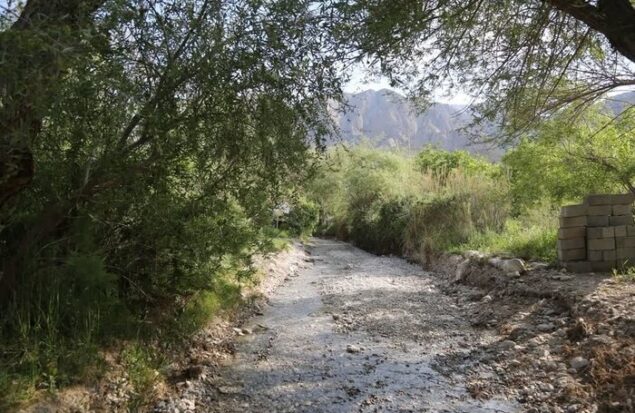 تِجنود؛ معجزه زمردین در قلب کویر خراسان جنوبی