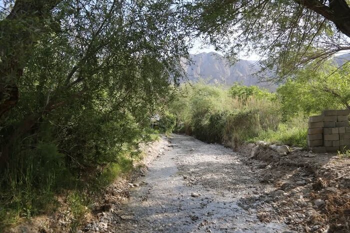 تِجنود؛ معجزه زمردین در قلب کویر خراسان جنوبی