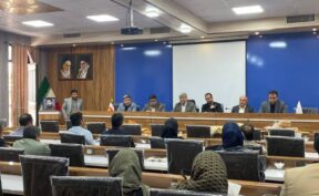 فرماندار گلبهار خواستار افزایش سهمیه آرد شهرستان متناسب با رشد جمعیت شد