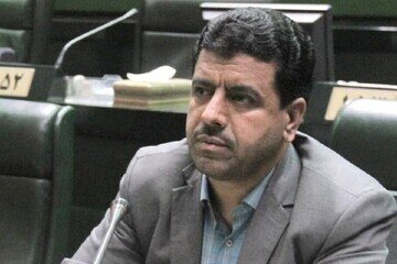 امامیراد: ایران در حال سوزاندن آینده خود است/ بحران هدررفت منابع را جدی بگیریم