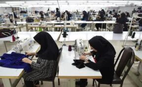 دریافت مجوزهای کسب‌وکار و کارآفرینی برای بانوان گلبهار هموار شود